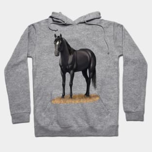 Beautiful Black Quarter Horse Stallion Hoodie